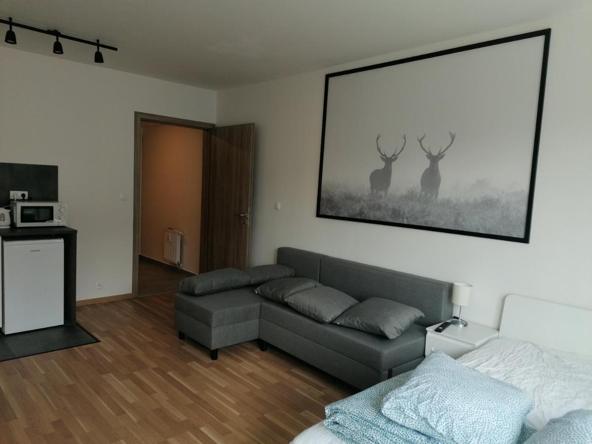 Brand New Studio Apartment #21 With Free Secure Parking In The Center Prag Exteriör bild